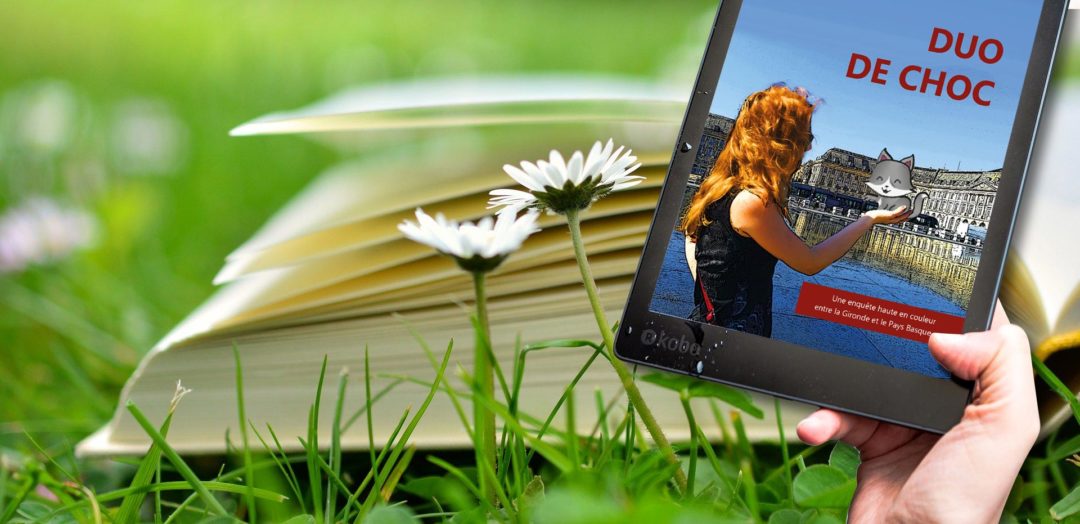 DUO DE CHOC est désormais disponible sur 200 librairies en ligne